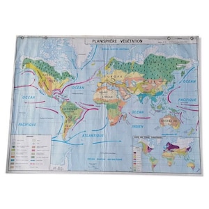 Planisphere vintage world map physical and vegetation // Magic'Puce / Old geography map /