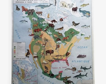 Vintage North American School Map - Economic Asia Fauna and Flora Vintage MDI / Vintage Asia Poster - Magic'Puce