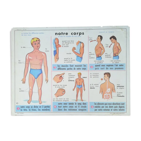 Affiche Scolaire Vintage Mdi Notre Corps et Nos Os N17 N18 // Magic'puce