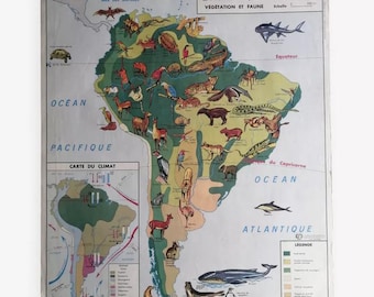 MDI School Map: South America - Oceania Fauna and Vegetation / South America / Brazil Argentina Bolivia Mexico Peru Chile - Magic'Puce