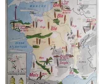 Economic MDI map poster - FRANCE The Seine - Cereals and vegetables / Original Vintage School Poster / Magic'Puce
