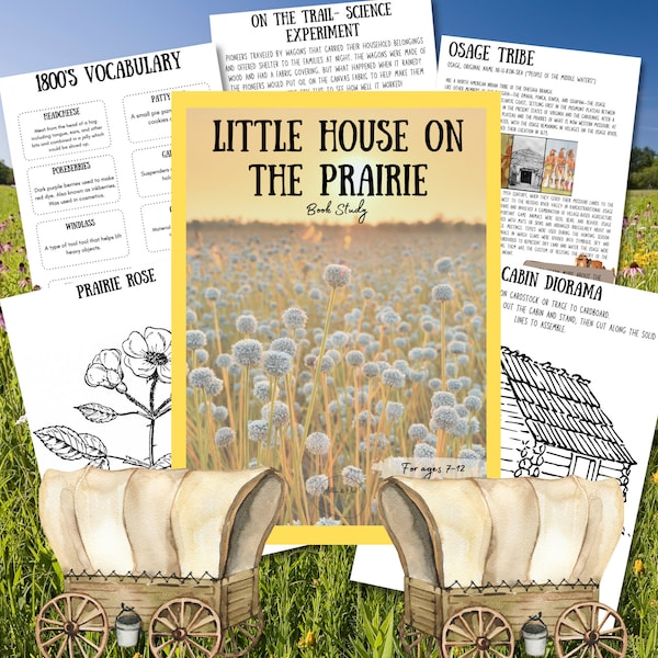 Little House on the Prairie Book Companion Activity Pack Book Study