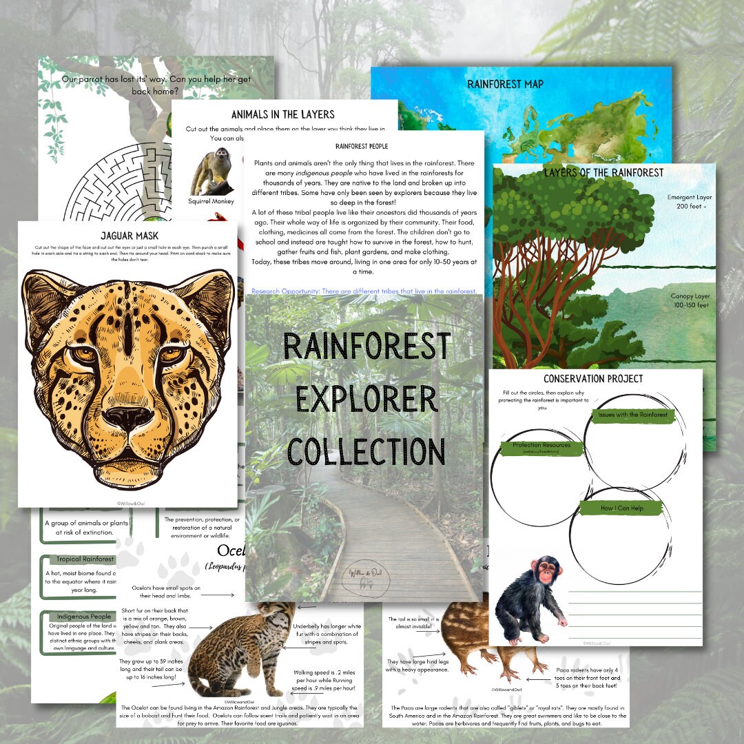 Rainforest Explorer Collection and Mini Unit Study - Etsy