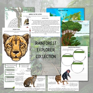 May include: A colorful educational resource for kids about the rainforest. The printable worksheets feature a map of the rainforest, a jaguar mask, a conservation project, and information about rainforest animals and people. The title "Rainforest Explorer Collection" is at the top of the page.