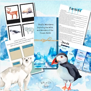 Arctic Wonders Fun Folio - Research Activity for Polar Animals