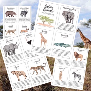Carte storia degli animali del safari