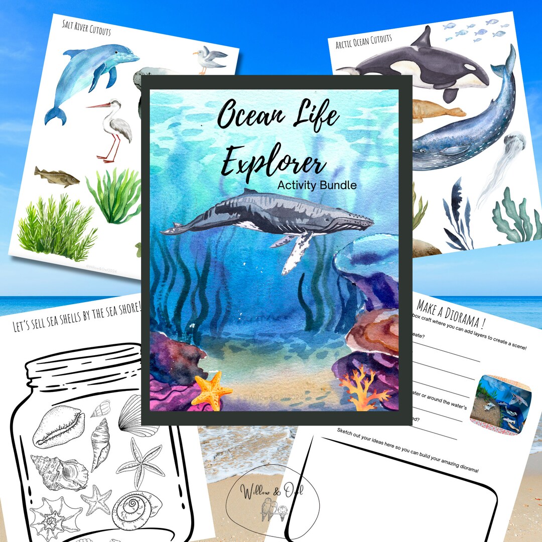 Ocean Explorer Activity Bundle | Homeschool Printable - Etsy
