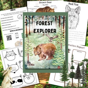 Puede incluir: Materiales educativos con temática de bosque. La imagen central es una ilustración en acuarela de un oso pardo, un búho y un mapache en un entorno forestal. Páginas adicionales con ilustraciones de animales e informes.