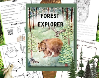 Estudio de unidad de Forest Explorer para educación en casa, aprendizaje y aventuras de verano