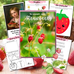 May include: A printable unit study about strawberries with illustrations of strawberries, a strawberry plant, and a strawberry life cycle. The title of the unit study is "The incredible, edible Strawberry".
