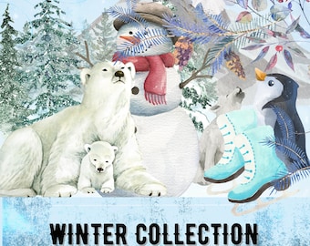 Colección de estudio de unidades de invierno para educación en casa/actividades de invierno