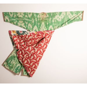 Antique Uzbek Silk Ikat Chapan With a Great Roller Printed Lining, early 20th C. SKU: 287