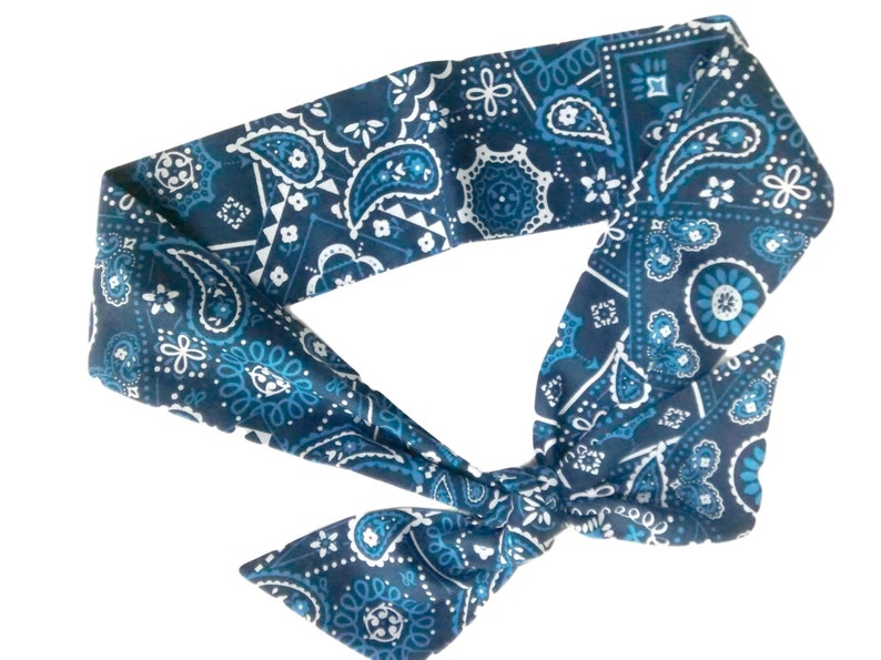 Light blue with cute cupcake print Pin up wire headband