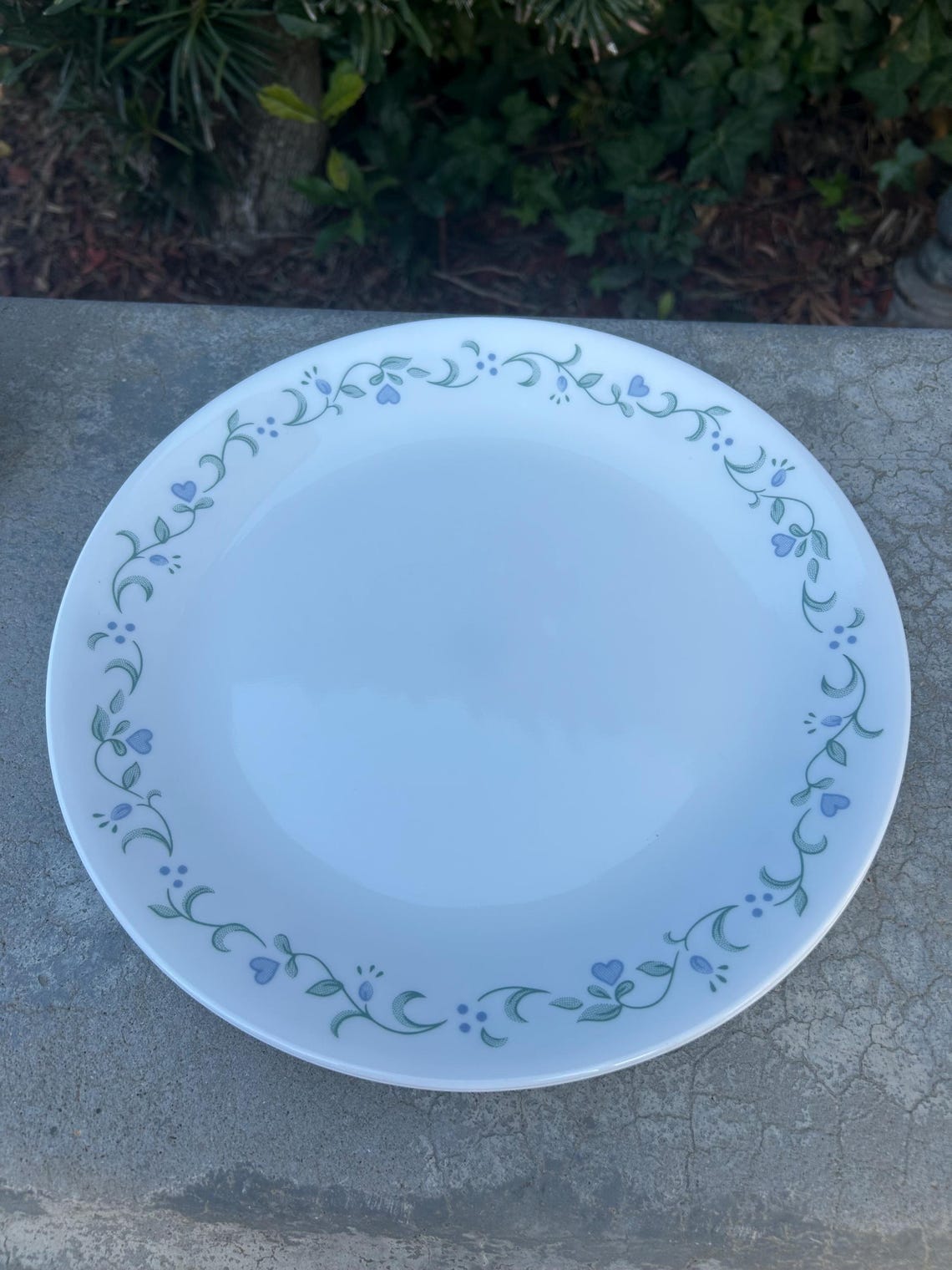Corelle Country Cottage Pattern Dishes Dinner Plates Salad Plates and ...
