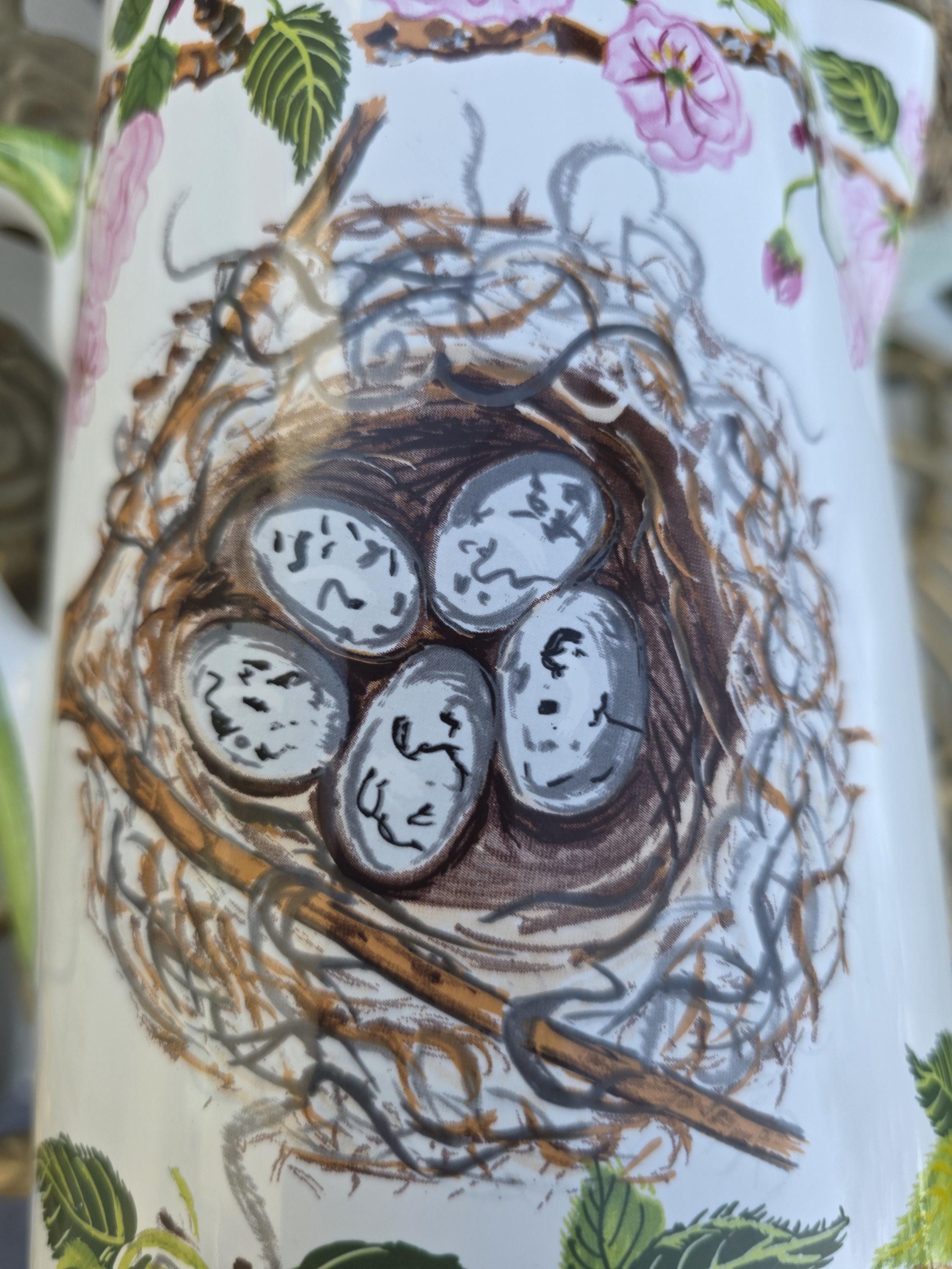Beautiful Robin's Nest for the Essex Robin Dodge Sears Pitcher and
