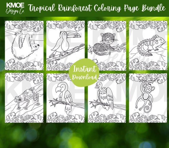 Tropical Rainforest Animals Coloring Pages