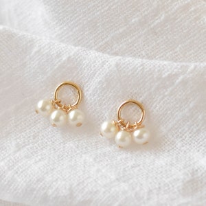 Pearl Circle Stud Earrings Pearl Earrings Stud, Cute Stud Earrings, Pearl Earrings Real, Freshwater Pearl Earrings GFE00042 image 1