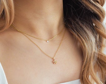 ★ROSEMONT★ 14K Necklace RS0801 il_340x270.4931835325_keep.jpg