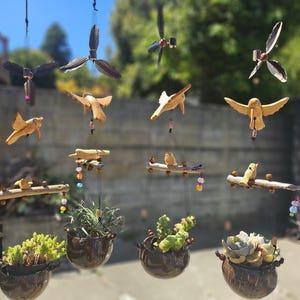 May include: A collection of handcrafted wooden bird and propeller ornaments hanging in front of small potted plants. The birds are various sizes and shapes, with some perched on wooden branches. The plants are in dark brown, coconut shell-like pots.
