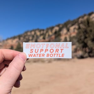 Emotional Support Water Bottle Sticker: Skiing, Climbing, Adventurer (3x1 Rectangle)