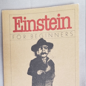 Einstein For Beginners, Biographical Comic Book, Science Graphic Novel, Einstein Biography, VintageLoretto
