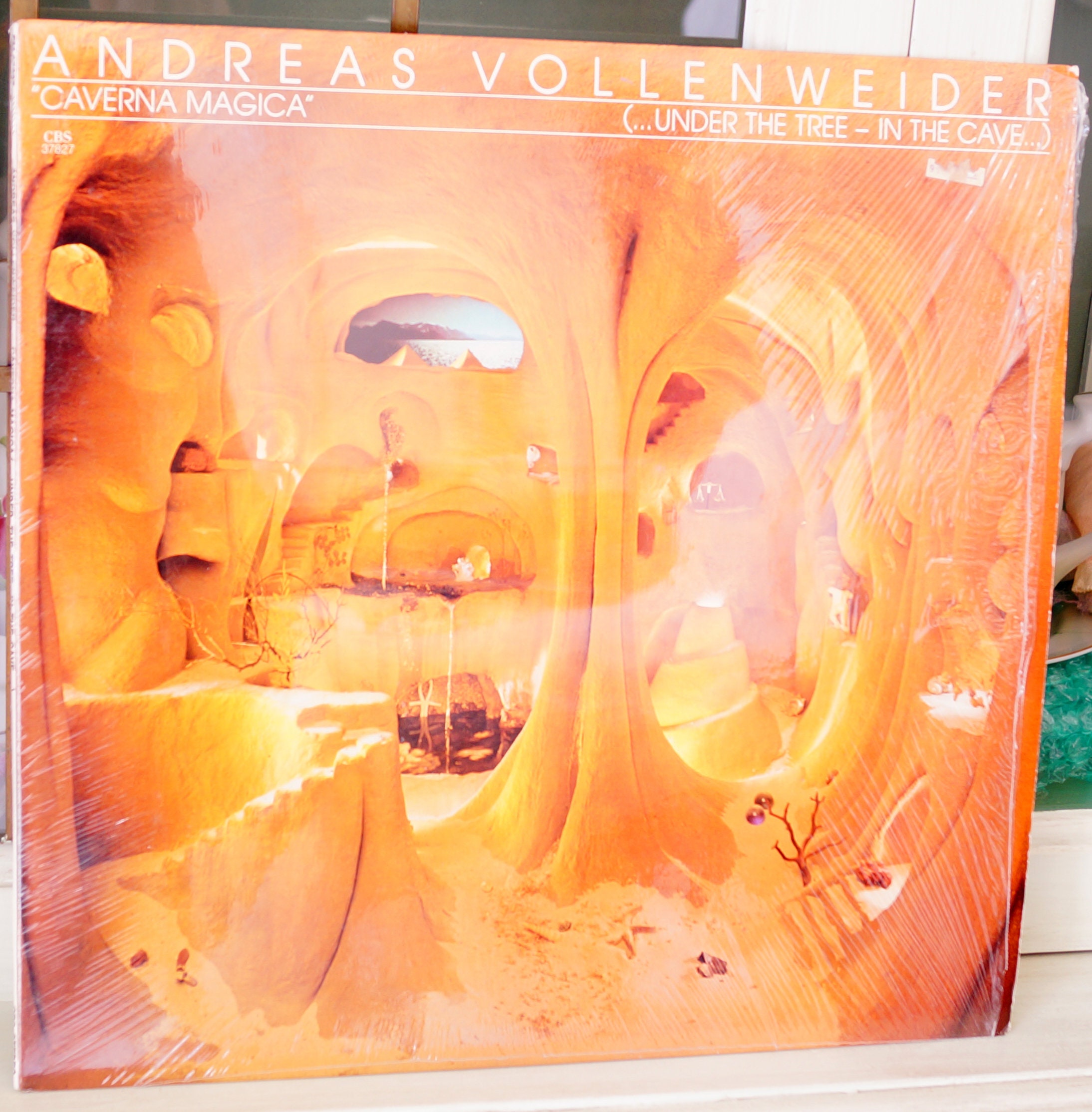 Andreas Vollenweider/ Caverna Magica/ Vinyl LP 1983/yoga -