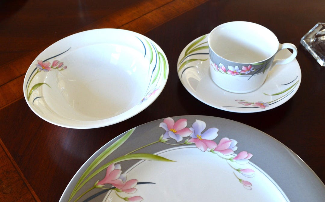 Peach Mist Porcelain Dinnerware Set: Floral Border, Oven-safe (4 Piece ...