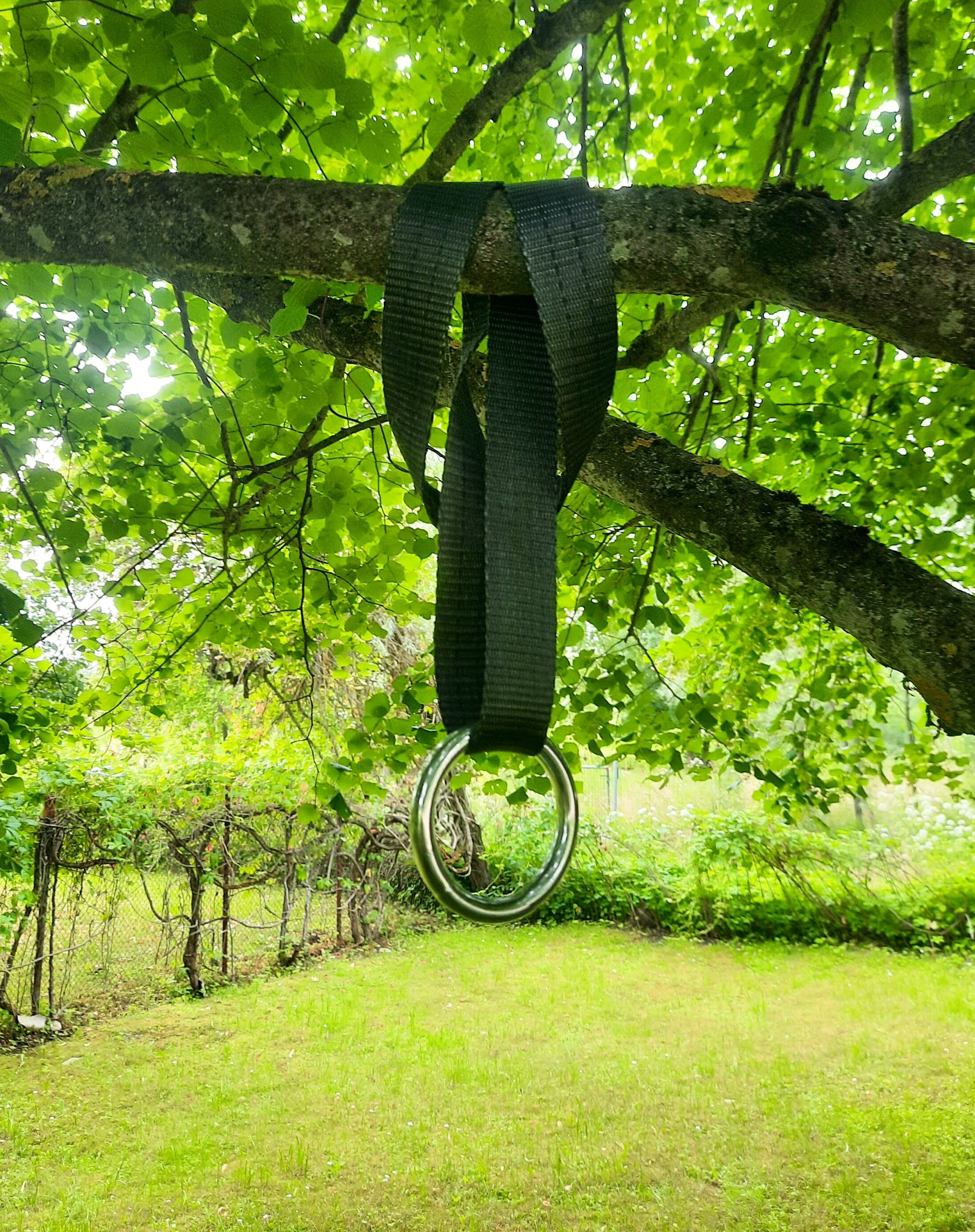 Tree Swing Attachment Mount Strap for Hanging Stuff 