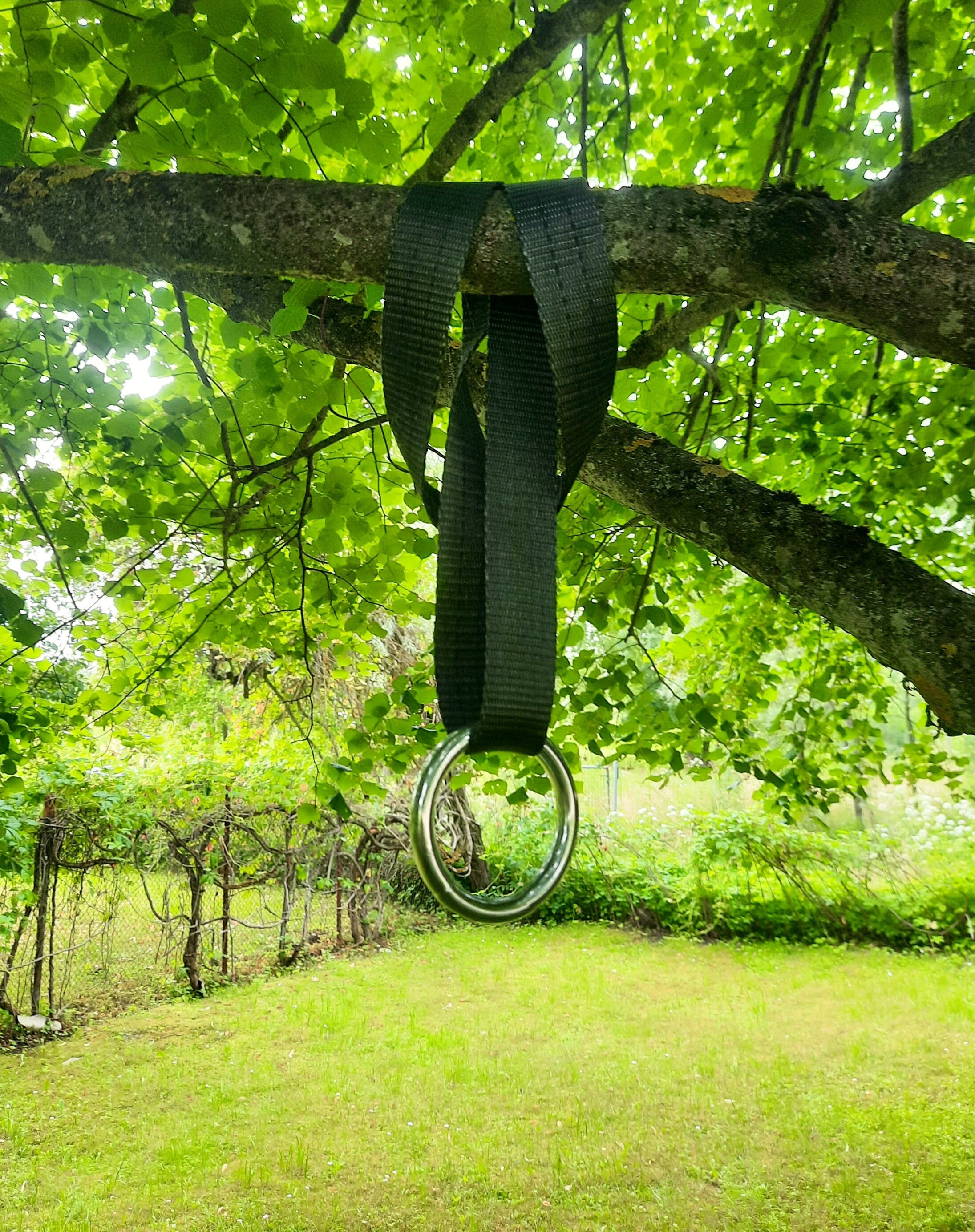 Set Di 2 Cinghie Per Amaca E Altalena: Con Moschettoni, 6 Anelli Regolabili, Portata 300 Kg, Per Albero E Campeggio