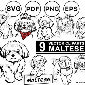 Maltese clipart. Dog image and illustration. Files for cricut. SVG, PNG. Printable stickers. Vector & Raster. Commercial use.