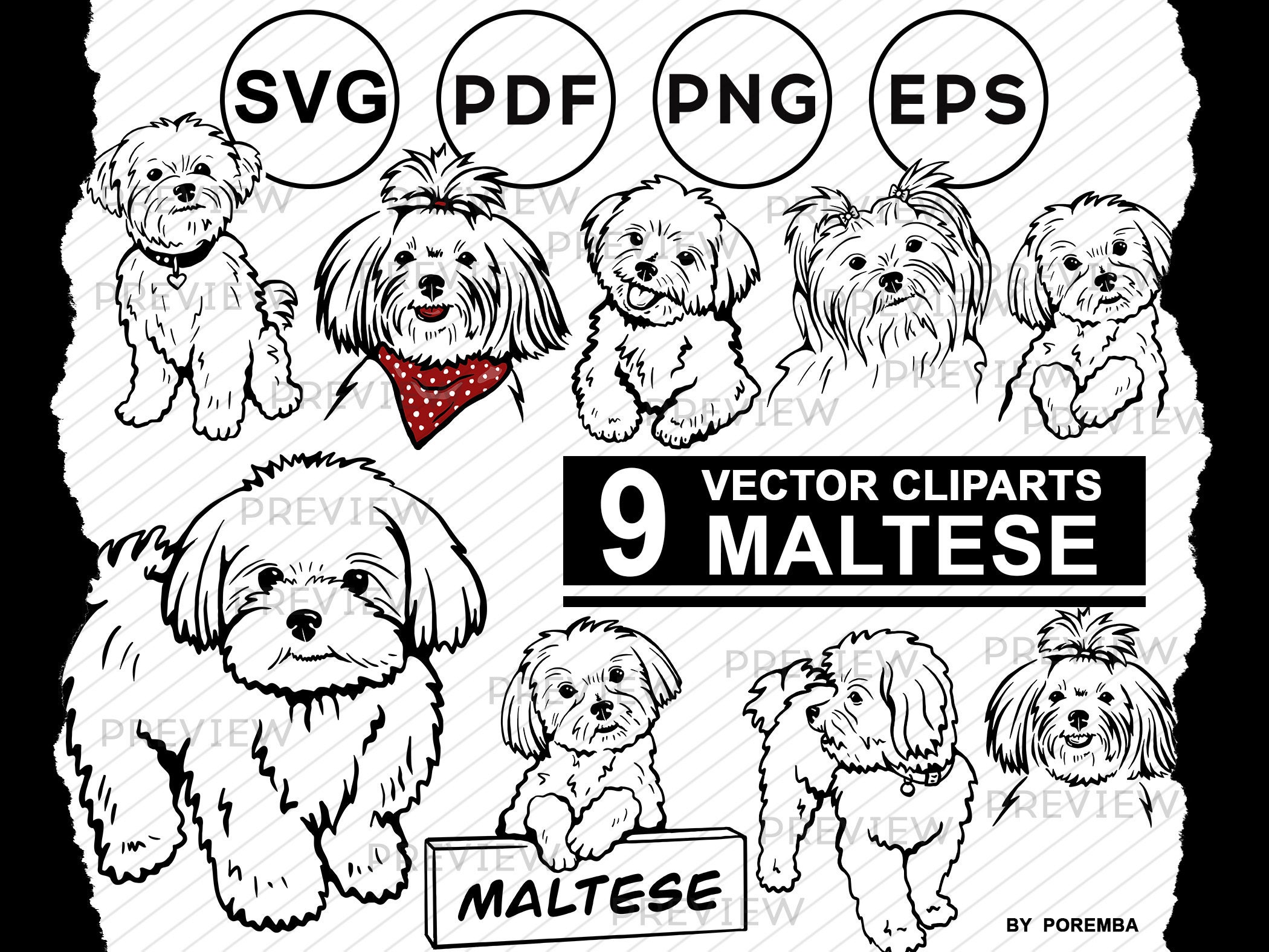 Maltese Clipart. Dog Image and Illustration. Files for Cricut. SVG, PNG ...