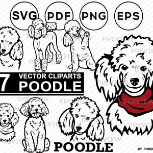 Puede incluir: Siete ilustraciones vectoriales en blanco y negro de caniches en varias poses. El texto "7 VECTOR CLIPARTS POODLE" está en la parte superior de la imagen. El texto "POODLE" está en la parte inferior de la imagen. El texto "BY POREMBA" está en la parte inferior derecha de la imagen.