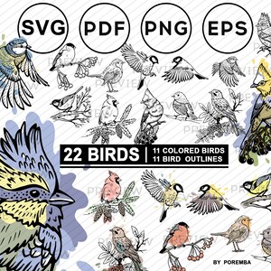 Clipart de pássaros. Contorno e estêncil de pássaro. Corte à laser. Imagem e ilustração. SVG, PNG. Adesivos para impressão. Vetor e raster. Uso comercial.