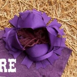 Western Shirts For Girls, Future Gate Opener For Boys, Baby Girls Stuff, Babies Western Rodeo Wear, Western Baby, Country Future Gate Tee image 4