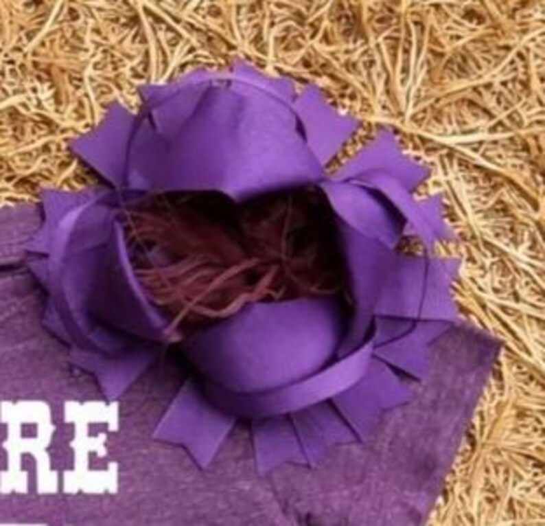 Western Shirts For Girls, Future Gate Opener For Boys, Baby Girls Stuff, Babies Western Rodeo Wear, Western Baby, Country Future Gate Tee image 4