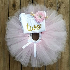 Two Year Old Girls Birthday Outfit, 2 Year Old Light Pink Tutu Dress, Second Party Dress, TWO Gold Glittered Top, Outdoor Party Wear Theme image 1