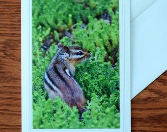 Chipmunk 5x7 Greeting Card: Embossed All Occasion Note Card