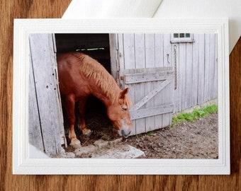 Brown Horse Note Card: 5x7 Rustic Barn Photo, Embossed Border