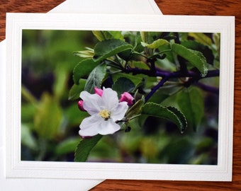 Spring Blossom Photo Note Card: 5x7 Blank All Occasion Card
