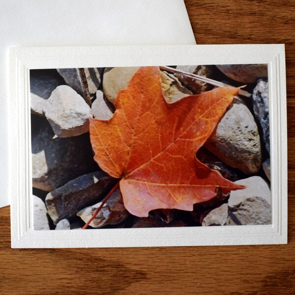 5x7 Blank Note Card; Fall Leaf Photo Notecard; Red Leaf Photo Greeting Card; All Occasion Card