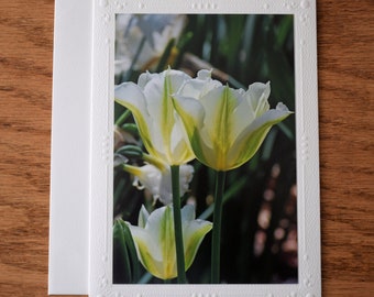 White Tulips Note Card: Floral Photography, 5x7 All Occasion Blank Card