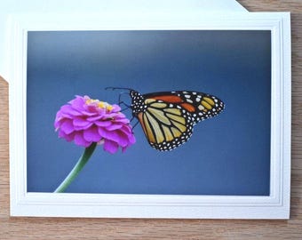 Monarch Butterfly Photo Note Card: 5x7 All Occasion Blank Card