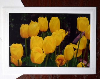 Yellow Tulips Note Card: 5x7 Spring Floral Greeting Card