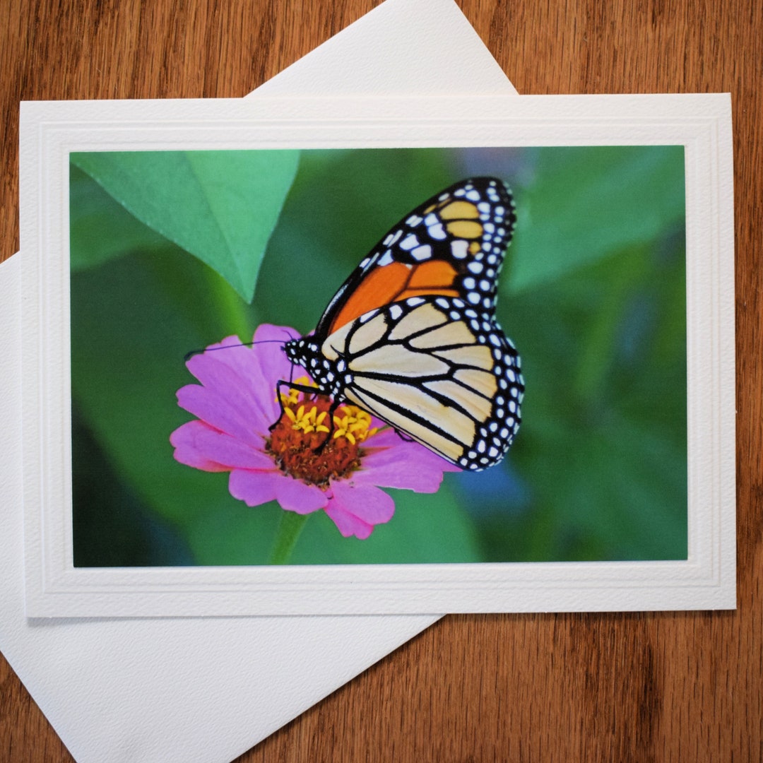 Monarch Butterfly Note Card: 5x7 Blank Greeting Card - Etsy