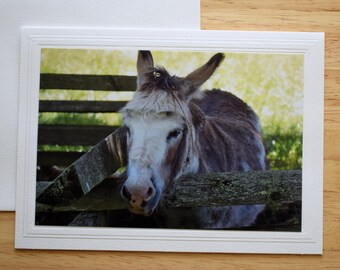 Donkey Photo Note Card: 5x7 Rustic All Occasion Greeting Card