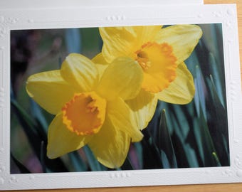 Spring Daffodil 5x7 Photo Note Card – Blank All Occasion Greeting