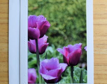 Pink Tulips 5x7 Blank Note Card: Spring, Easter, All Occasion Greeting