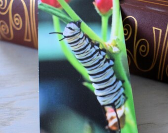 Caterpillar Photo Bookmark with Tassel: Book Lover Gift