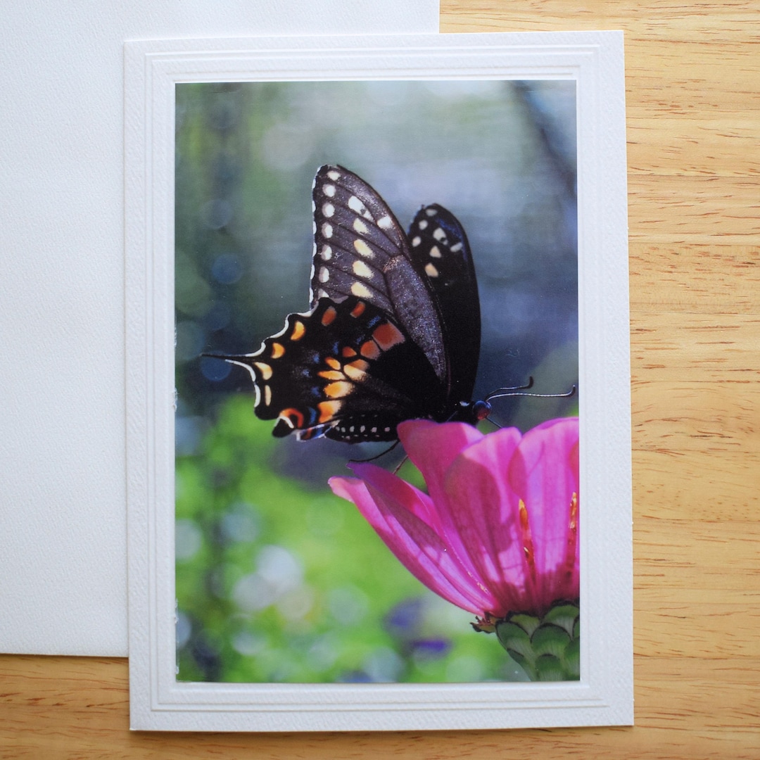 Swallowtail Butterfly Photo Note Card: Handmade 5x7 Blank Card - Etsy