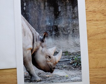 Rhino Photo Note Card, 5x7 Embossed Ivory All Occasion Card